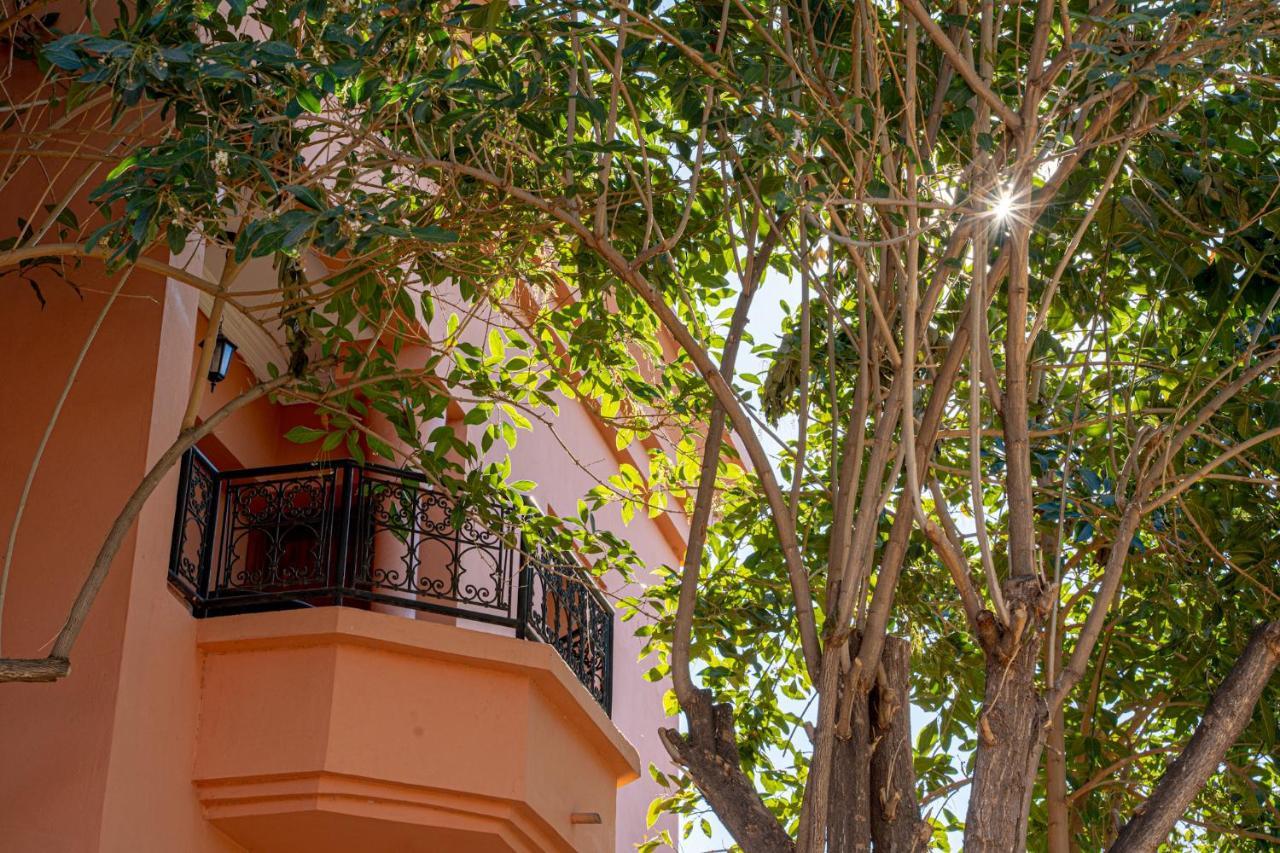Las Palmeras Guest House Douar Caïd Layadi Kültér fotó